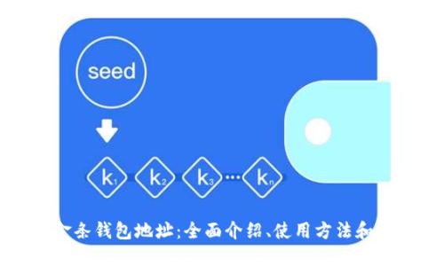 比特币金条钱包地址：全面介绍、使用方法和安全建议