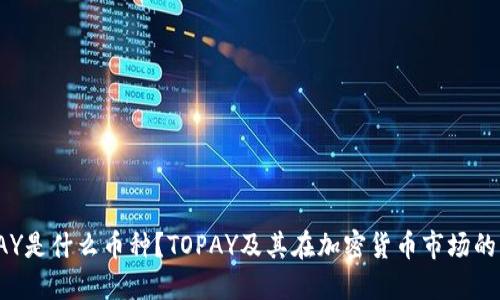 TOPAY是什么币种？TOPAY及其在加密货币市场的表现