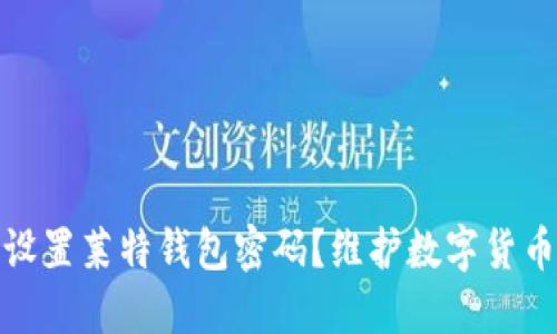 如何设置莱特钱包密码？维护数字货币安全