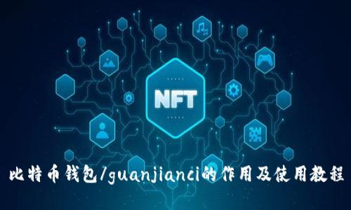 比特币钱包/guanjianci的作用及使用教程