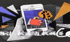 加密数字货币泡沫：机遇与挑战并存的投资新领