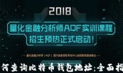 如何查询比特币钱包地址：全面指南