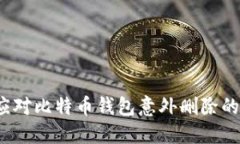 如何应对比特币钱包意外删除的情况？