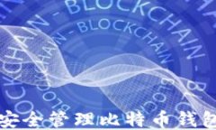 如何安全管理比特币钱包余额