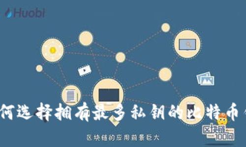  如何选择拥有最多私钥的比特币钱包