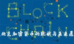 魁北克加密货币的现状与未来展望