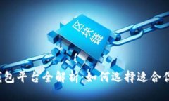比特币钱包平台全解析：如何选择适合你的钱包