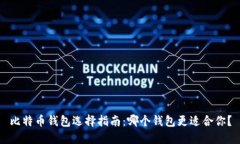 比特币钱包选择指南：哪个钱包更适合你？