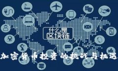 加密货币投资的挑战与机遇