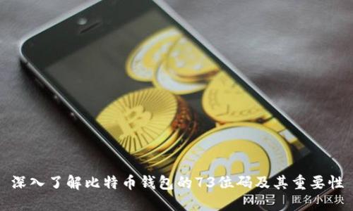 深入了解比特币钱包的73位码及其重要性