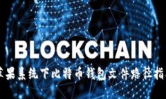 苹果系统下比特币钱包文件路径指南