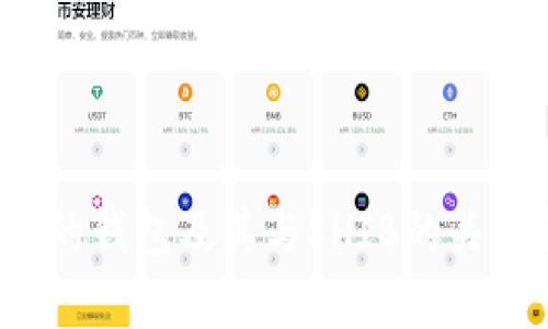 : V神的钱包及其与SHIB的关系解析