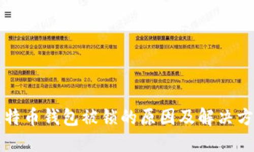 比特币钱包被锁的原因及解决方案