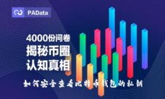如何安全查看比特币钱包的私钥