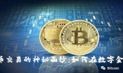 揭开ICE加密货币交易的神秘面纱：如何在数字金