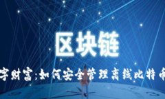 保护你的数字财富：如何安全管理离线比特币钱