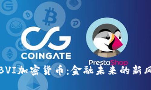 探索BVI加密货币：金融未来的新风向标