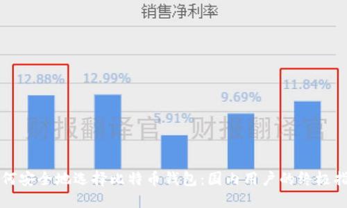 如何安全地选择比特币钱包：国内用户的终极指南