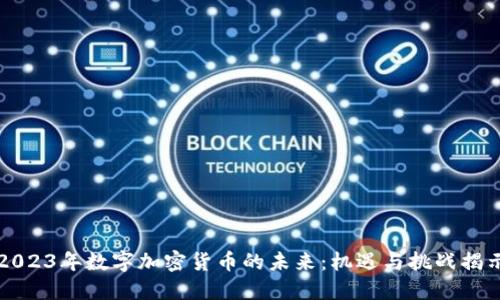 2023年数字加密货币的未来：机遇与挑战揭示