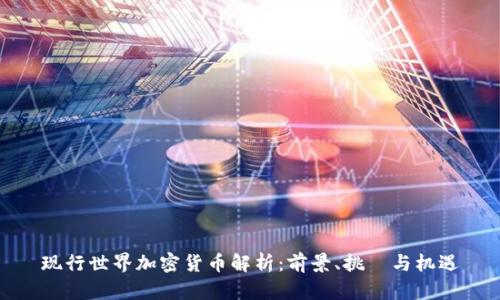 现行世界加密货币解析：前景、挑戰与机遇