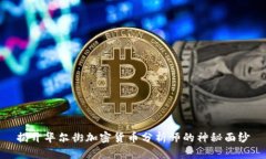 揭开华尔街加密货币分析师的神秘面纱