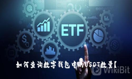 如何查询数字钱包中的USDT数量？
