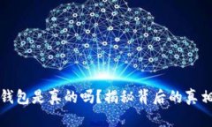 以太坊钱包是真的吗？揭秘背后的真相与风险